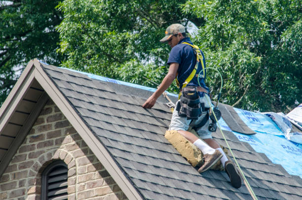 Best Roof Replacement Cost  in Ingalls Park, IL