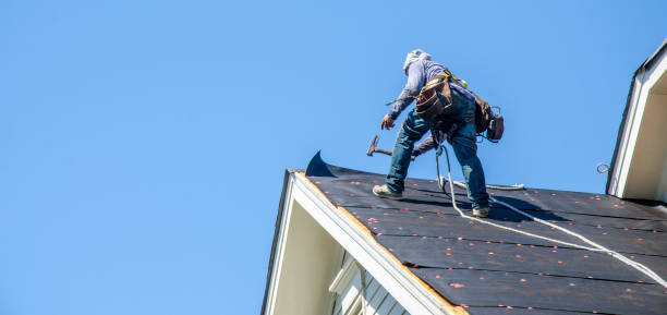 Best Commercial Roofing Services  in Ingalls Park, IL
